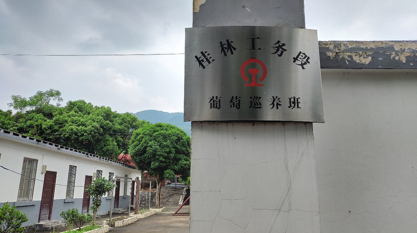 葡萄站大门